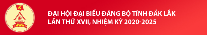 sfdsafsda